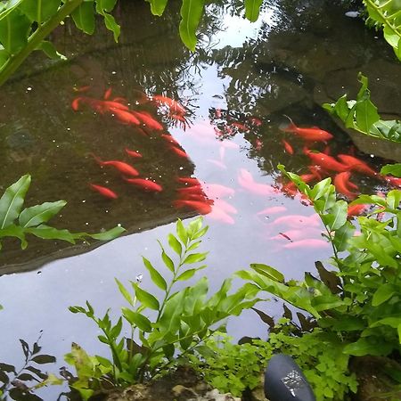 Cape Coral Paradise - Amazing View 외부 사진