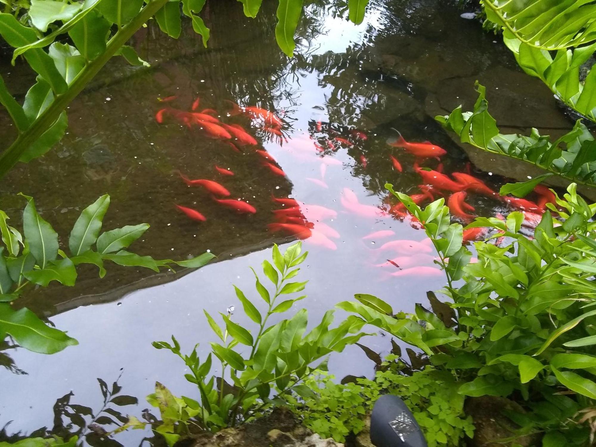 Cape Coral Paradise - Amazing View 외부 사진